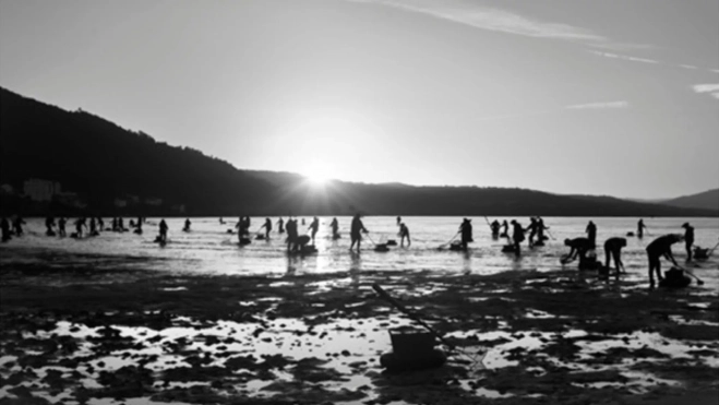 Mariscadoras de la ría de Muros y Noya / Foto: Cristina Romero Mariscadoras de la ría de Muros y Noya / Foto: Cristina Romero