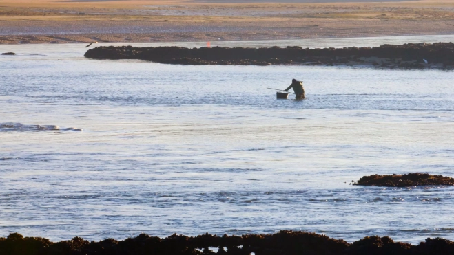 Persona mariscando a primera hora de la mañana / Foto: Canva Persona mariscando a primera hora de la mañana / Foto: Canva