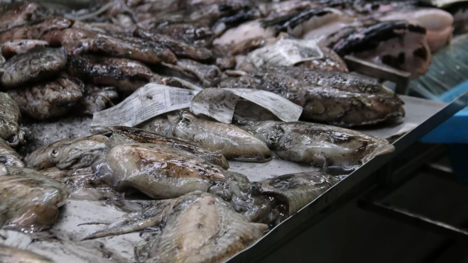 Sepias frescas en un mercado de Huelva / Foto: Antonio Ron