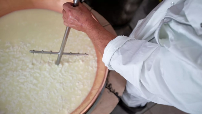 Proceso de elaboración del mató / Foto: Canva Proceso de elaboración del mató / Foto: Canva
