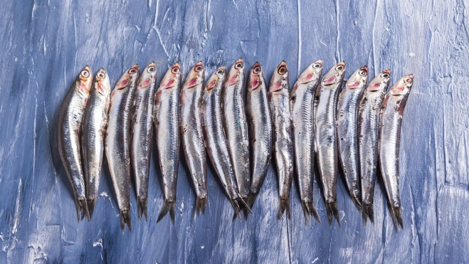 Boquerones frescos / Foto: Canva Boquerones frescos / Foto: Canva
