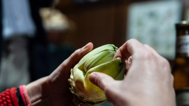Alcachofa del Prat / GALA ESPÍN