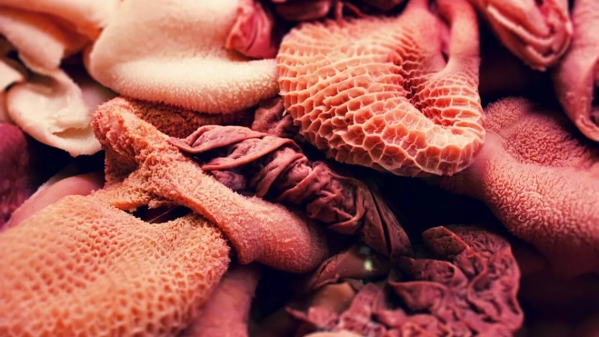 Casquería / PIXABAY