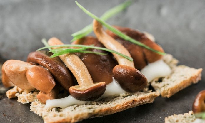 Abikore 9 tarta de algas y setas