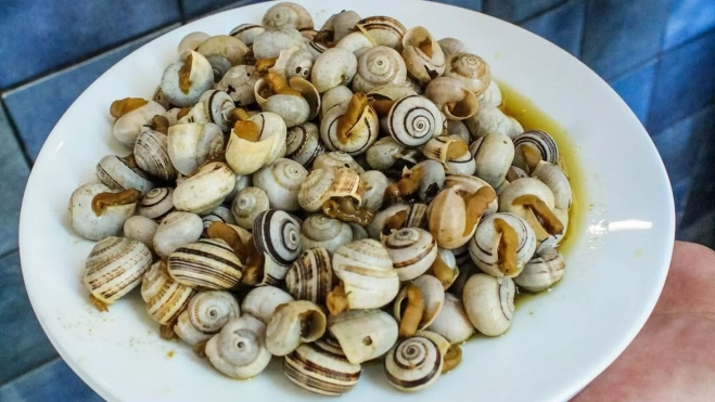Plato de caracoles en el bar El Cateto de Sevilla / Instagram