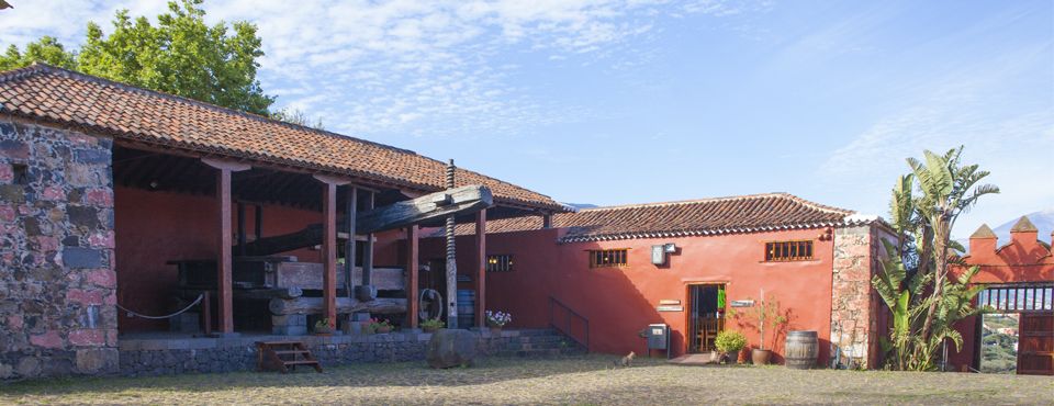 casavinosauzal