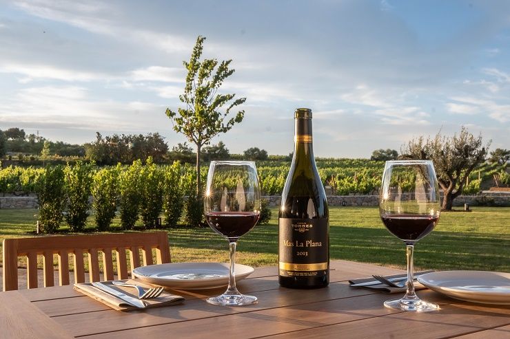 Familia_Torres_espacio_gastroomia_penedes_de-vinos