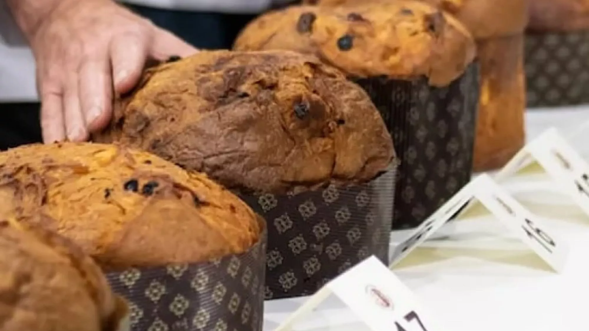 'Panettones' a concurso en el Panettone World Championship / Instagram