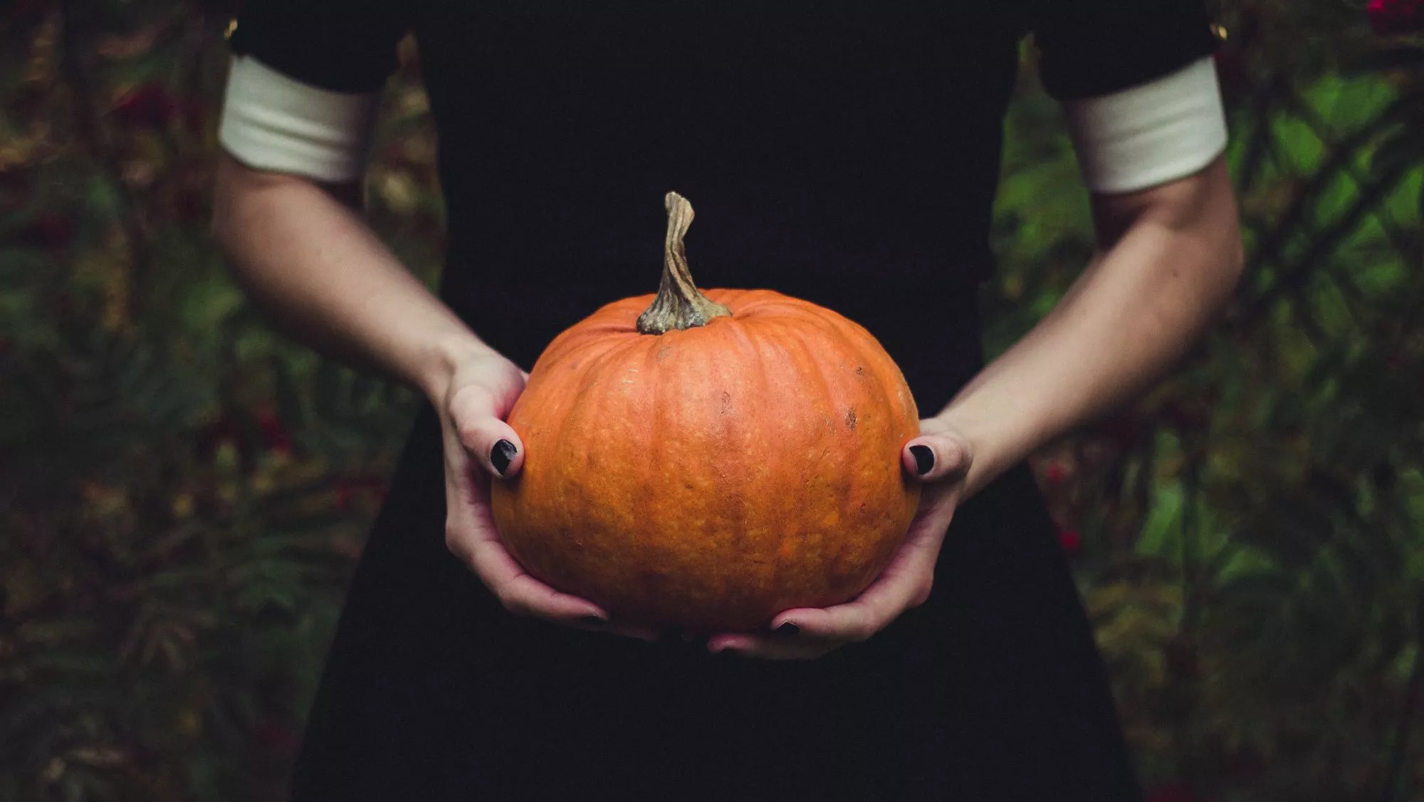 La calabaza, hortaliza de otoño y uno de los símbolos de Halloween / Canva La calabaza, hortaliza de otoño y uno de los símbolos de Halloween / Canva