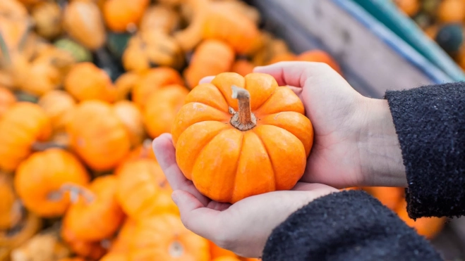 Calabazas en un mercado / Canva Calabazas en un mercado / Canva