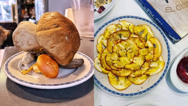 Boletus y carpaccio de amanitas en El cisne azul (Madrid) / Cedida Boletus y carpaccio de amanitas en El cisne azul (Madrid) / Cedida