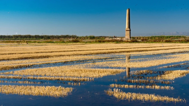 Arrozales de la Albufera de Valencia / Cedida Arrozales de la Albufera de Valencia / Cedida