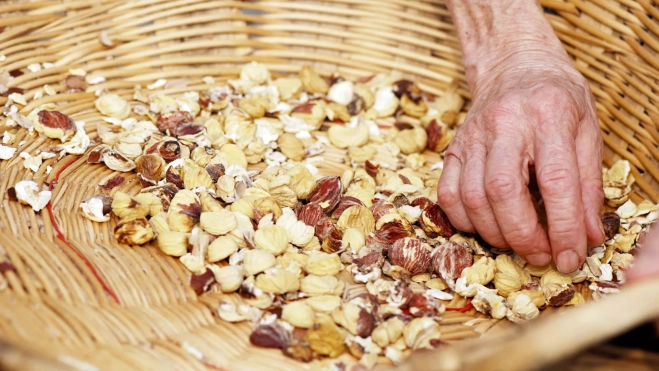 Selección de castañas secadas / Canva