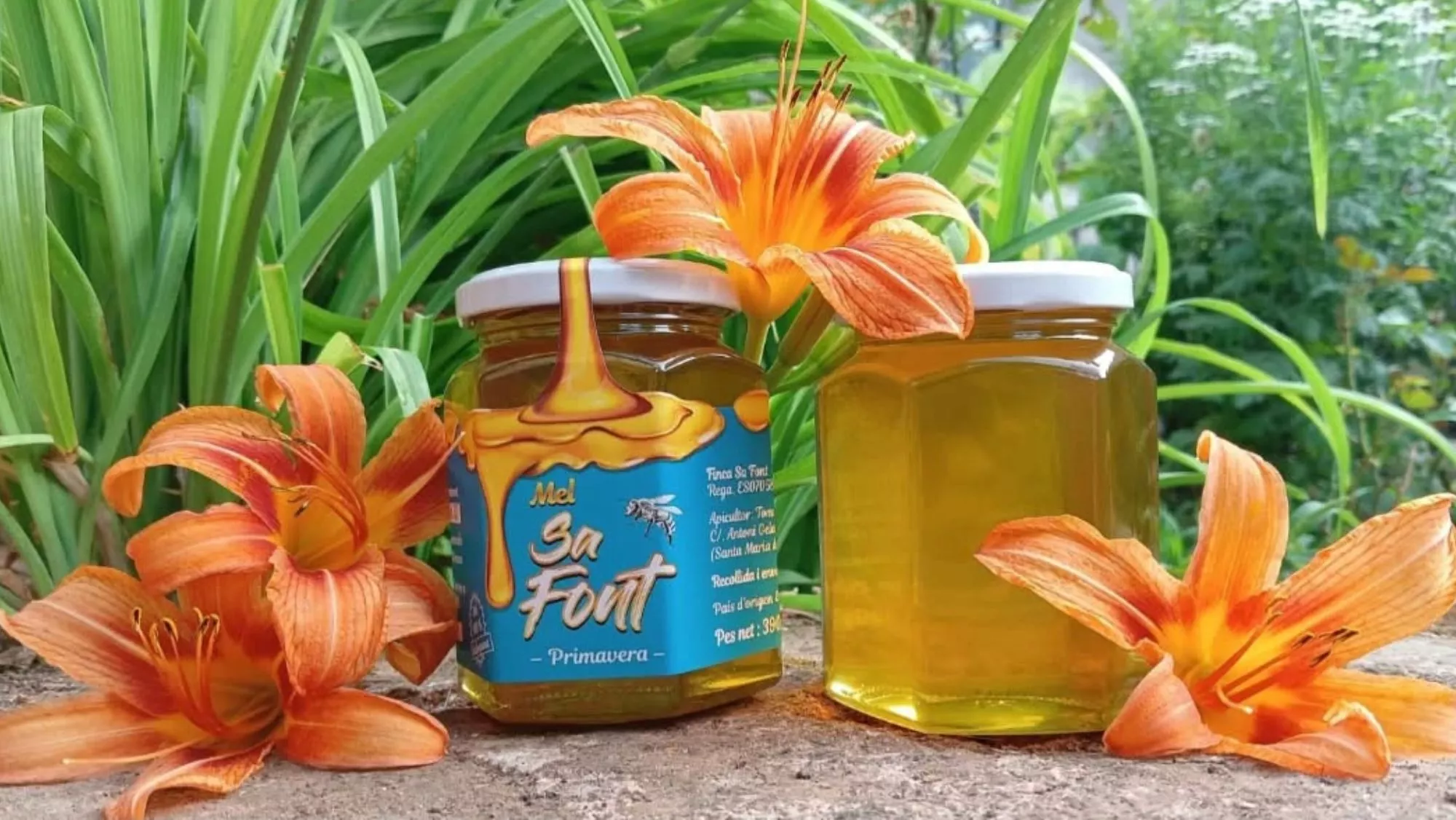 Miel Sa Font (Mallorca), mejor miel de España 2025 en el Concurso Nacional de Mieles Mieladictos / Instagram