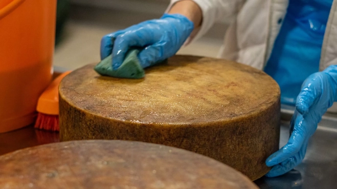 Baño de aceite de oliva en la quesería Los Cameros de Haro (La Rioja) / Txaber Allué
