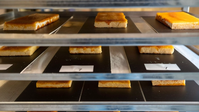 Diversos turrones presentados al concurso de mejor turrón de yema de España 2025 / GALA ESPÍN