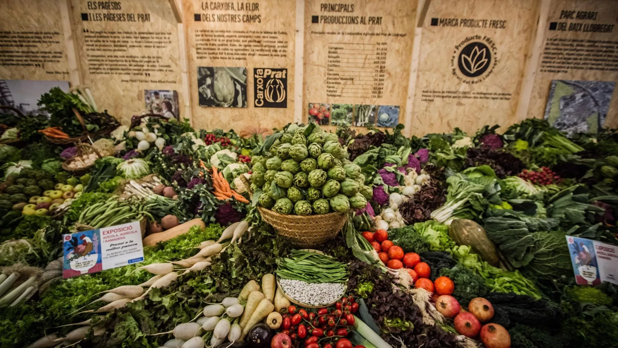 Fira Avícola Raça Prat en el recinto de La Ricarda (El Prat de Llobregat) / Turisme Baix Llobregat
