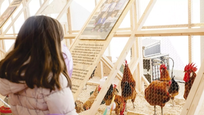 Fira Avícola Raça Prat en el recinto de La Ricarda (El Prat de Llobregat) / Turisme Baix Llobregat