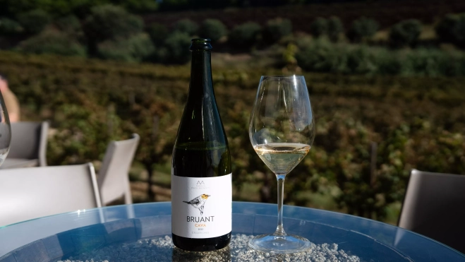 Vino Bruant de Art Laietà en el episodio 4x05 del podcast 'Vino y Mantel' / SIMÓN SÁNCHEZ