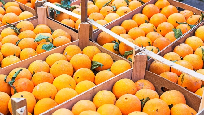Cajas de naranjas en un mercado / Canva