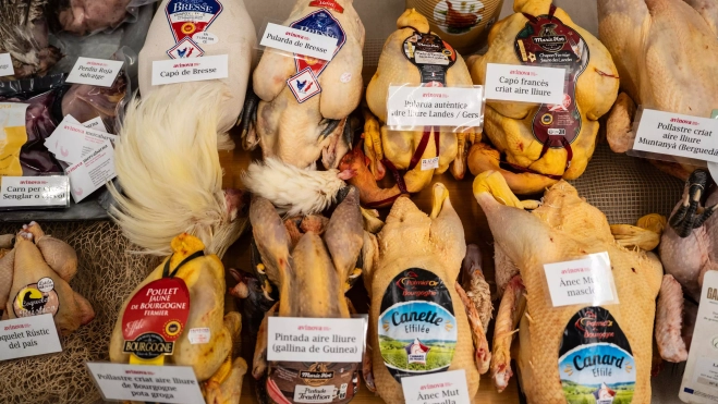 Aves en la presentación de mayoristas de Mercabarna / ÒSCAR GIL COY Aves en la presentación de mayoristas de Mercabarna / ÒSCAR GIL COY