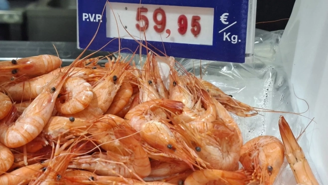 Camarón cocido en una pescadería de Madrid / Raquel Castillo