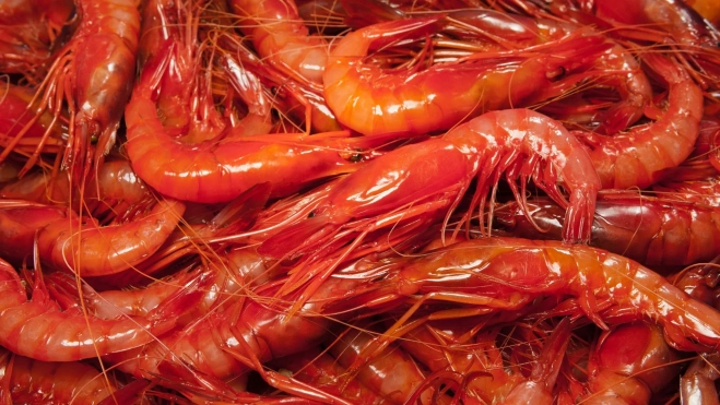 Gambas frescas recién pescadas / Canva