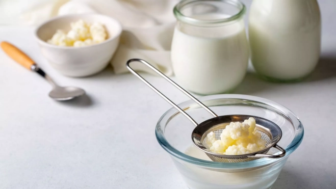  Bebida de leche fermentada con kéfir y granos de kéfir / Canva