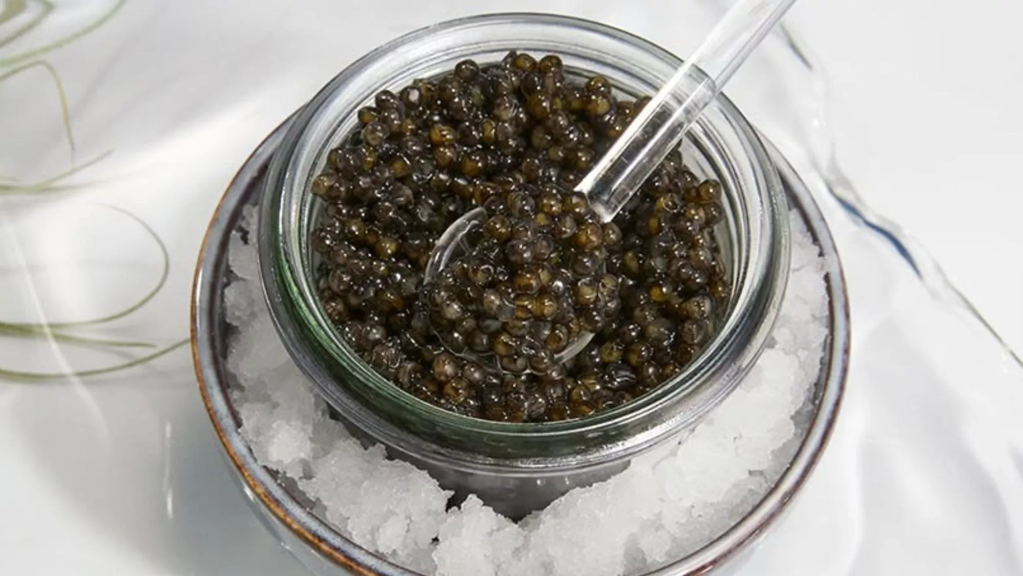 Caviar servido sobre hielo: una pequeña cantidad basta para darse un homenaje puntual / Instagram Caviar Riofrío