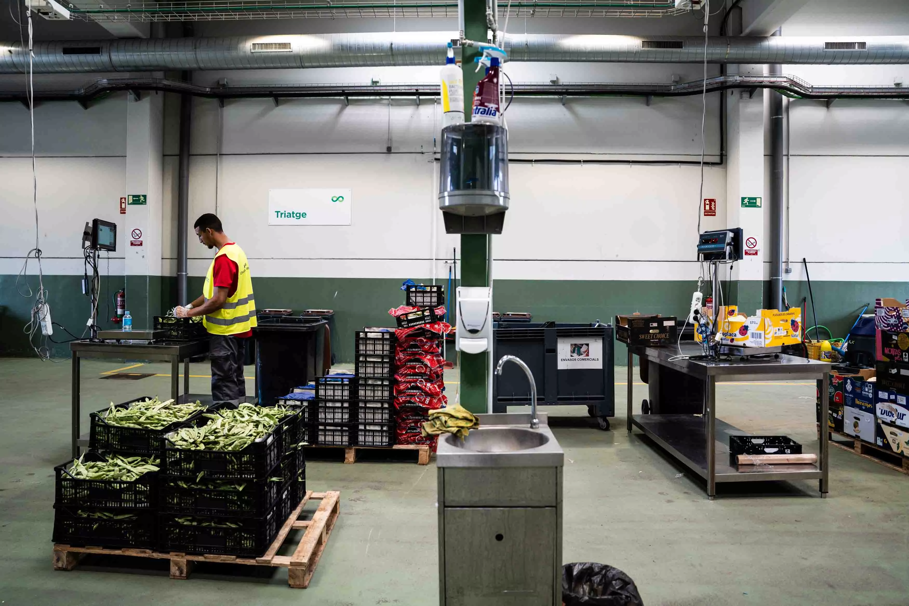 Trabajador en el Foodback de Mercabarna (Barcelona) / GALA ESPÍN