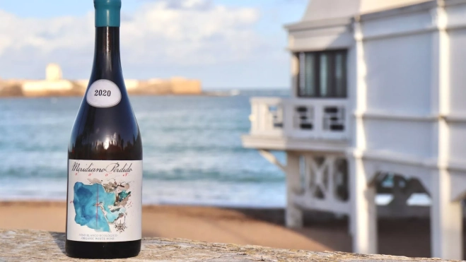 Foto Apertura Hule y Mantel (Laia) 2026 01 22T172327.249