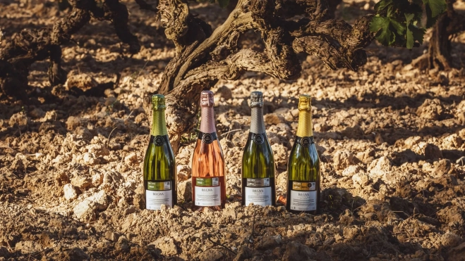 Las cuatro botellas con la Denominación de Origen