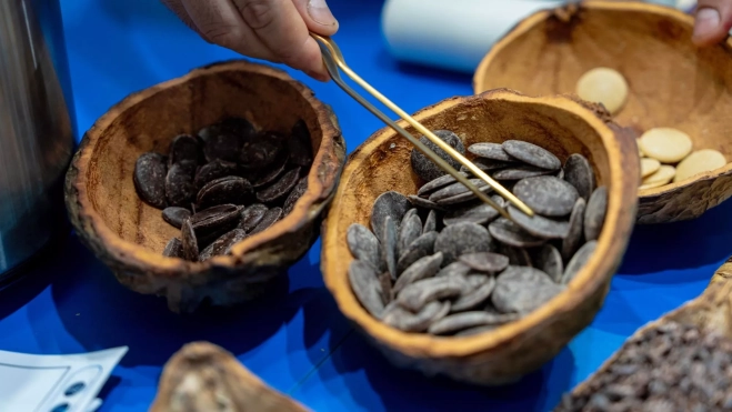 El cacao ecuatoriano está conquistando los mercados internacionales / Cedida El cacao ecuatoriano está conquistando los mercados internacionales / Cedida