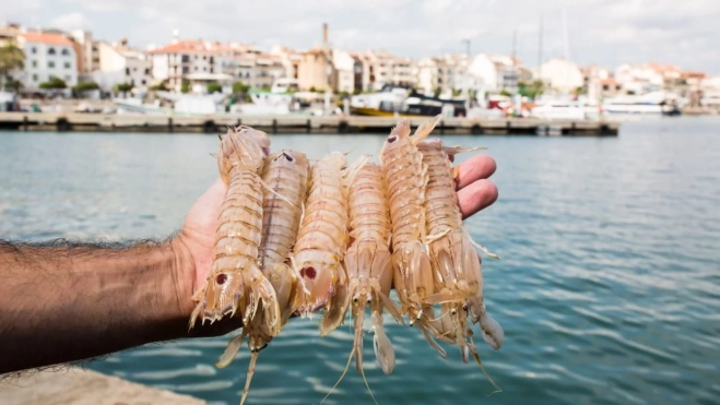 Jornadas Gastronómicas de la Galera en Cambrils / Turismo Cambrils