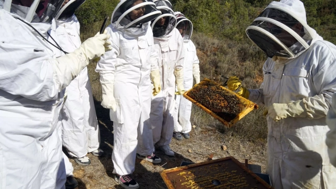 Apicultores por un día en Miel de Frías / Yolanda Cardo Apicultores por un día en Miel de Frías / Yolanda Cardo