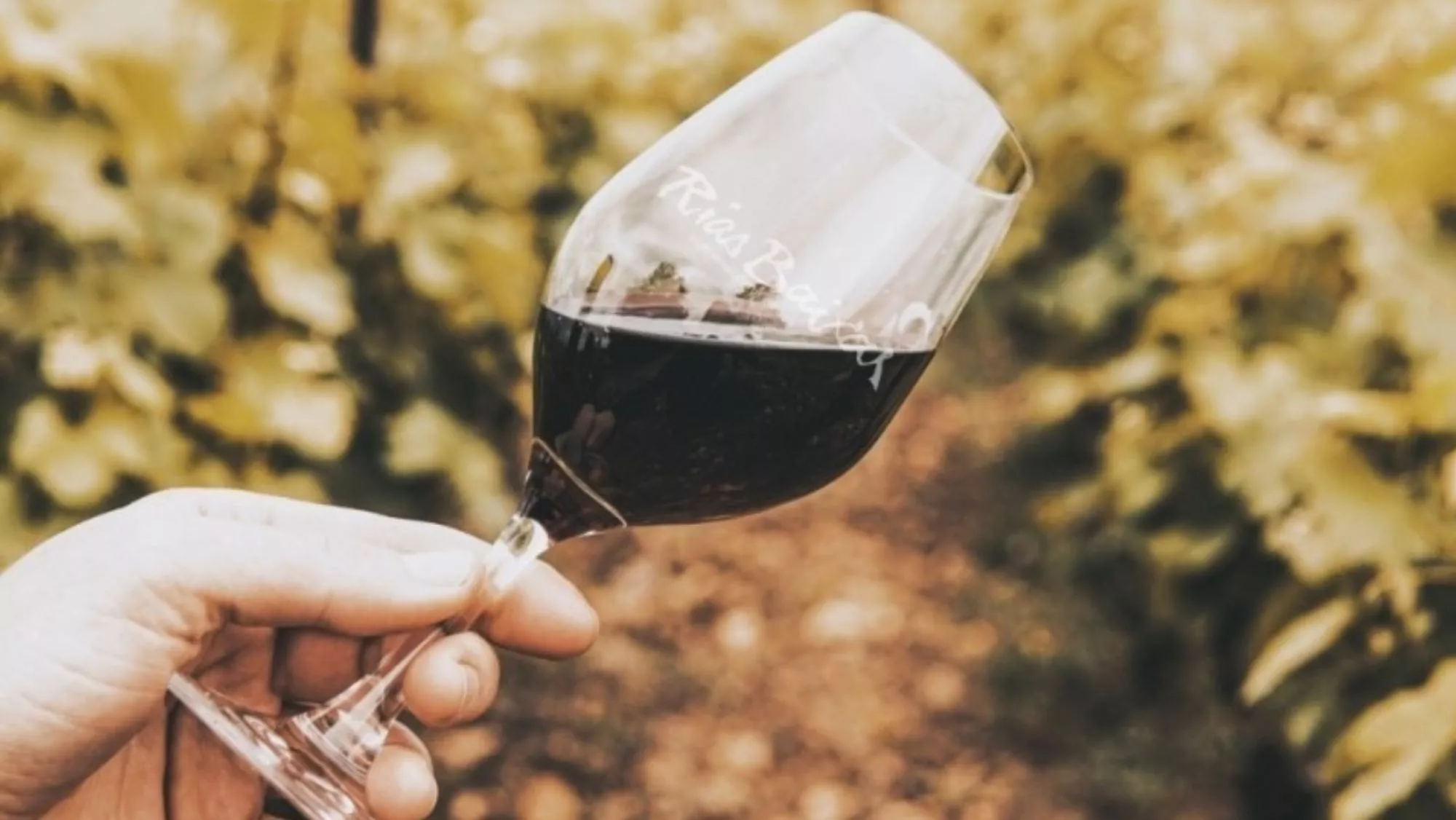 Copa de vino tintos de las Rías Baixas / D.O. Rías Baixas