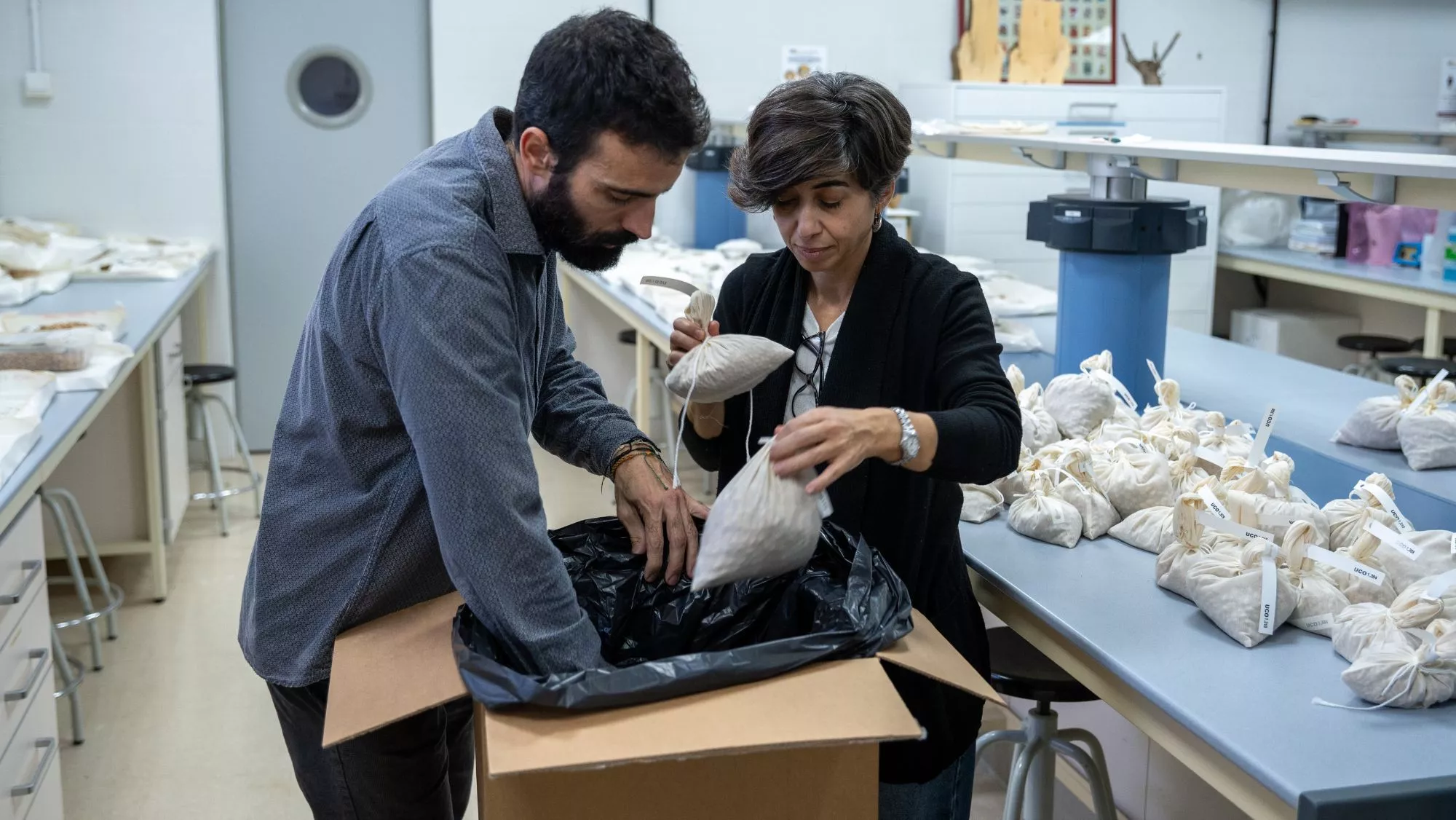 Pablo Morillo y Conchi Muñoz, de la Universidad de Córdoba, preparan el envío de semillas de olivar al Banco Mundial de Semillas de Svalbard / Cedida