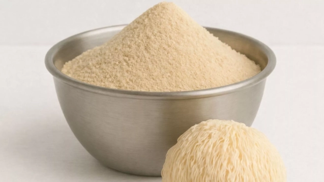 Melena de león en polvo producida por Setacor / Cedida Melena de león en polvo producida por Setacor / Cedida