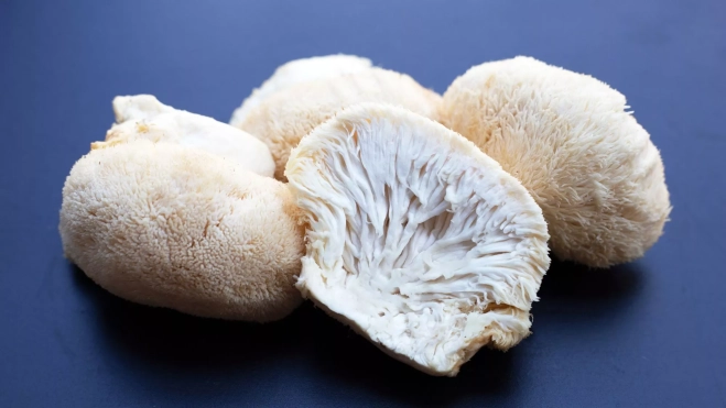 Melena de león cortada por la mitad / Canva Melena de león cortada por la mitad / Canva