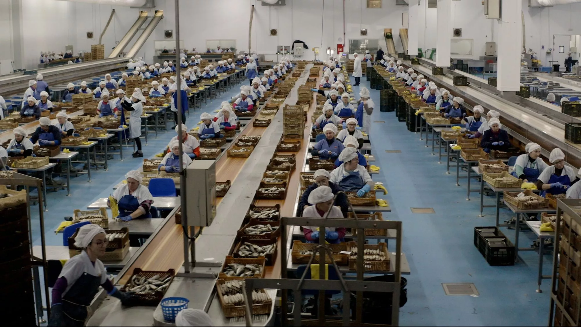 Fotograma del documental 'Todos los días Domingo' / Cedida / El cine gastronómico vuelve al Festival de Málaga 2026: todas las películas de Cinema Cocina