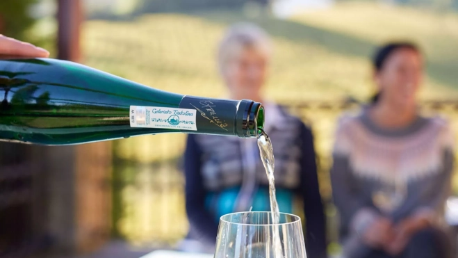 El txakoli de la bodega Txomin Etxaniz / Cedida