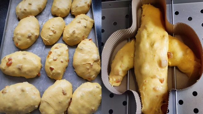 Foto Apertura Hule y Mantel (Laia) 2026 03 13T181835.757 Foto Apertura Hule y Mantel (Laia) 2026 03 13T181835.757