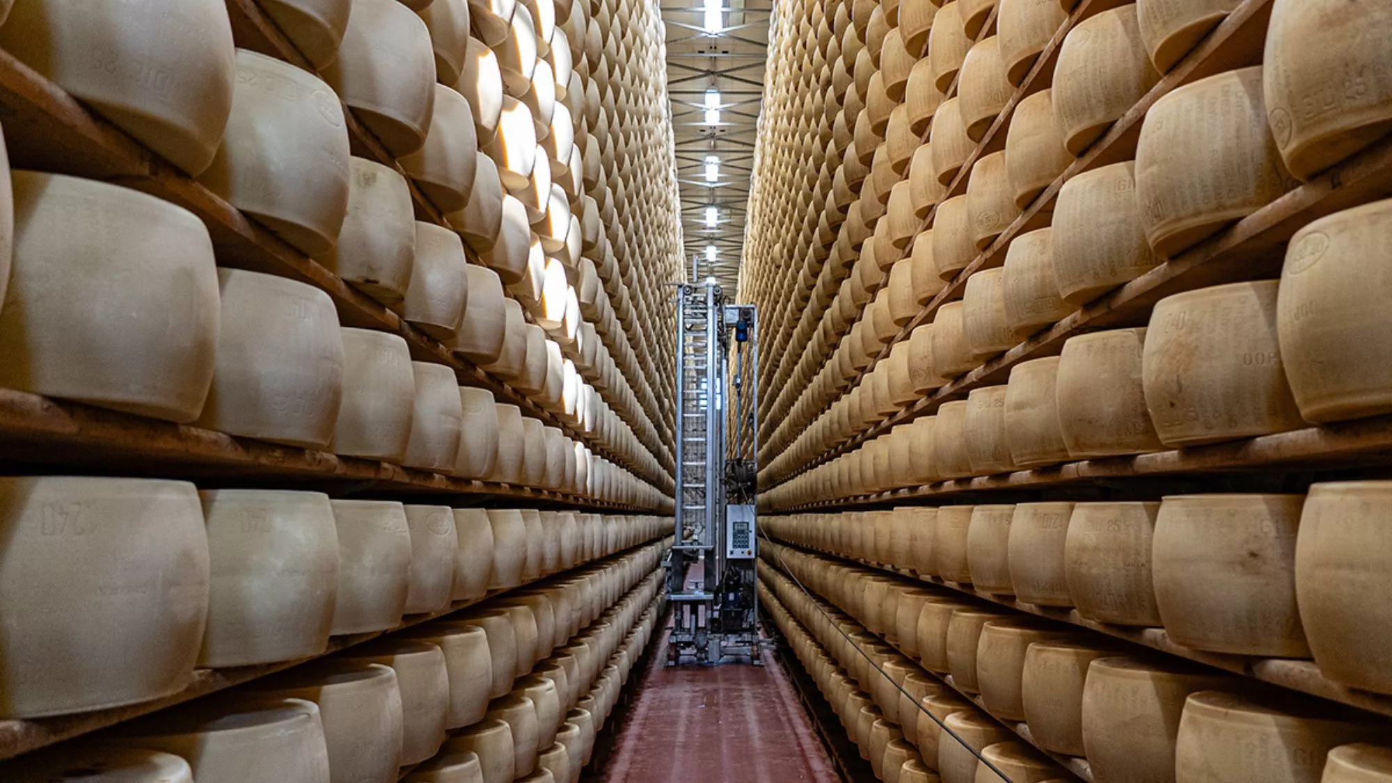 Ruedas de Parmigiano Reggiano en la quesería 4 Madonne Caseificio dell'Emilia (Módena, Italia) / Txaber Allué