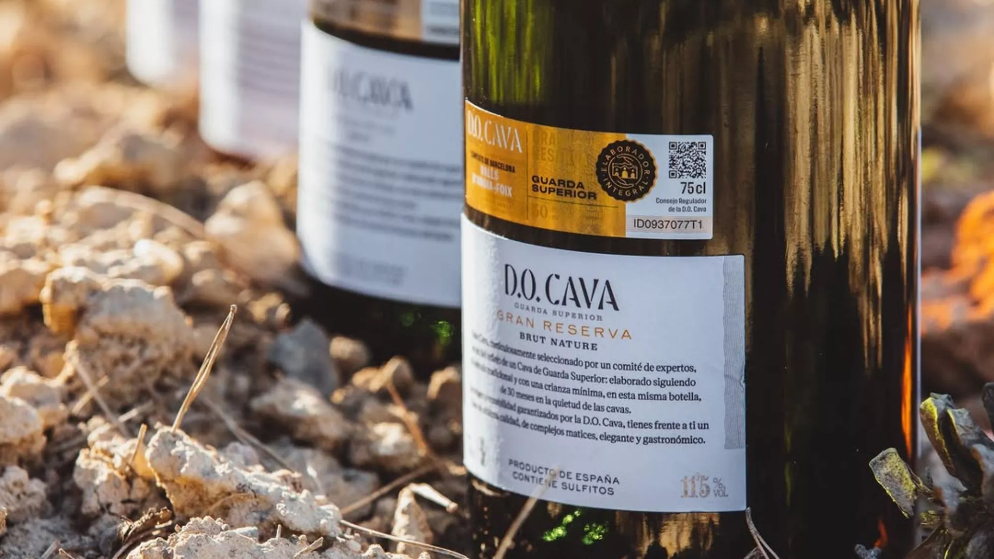 Vinos espumosos de la D.O.Cava /  Instagram D.O. Cava