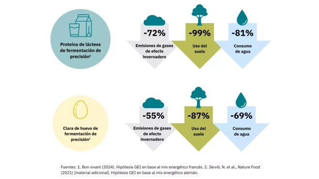 Infografía sobre la fermentación de precisión / The Good Food Institute