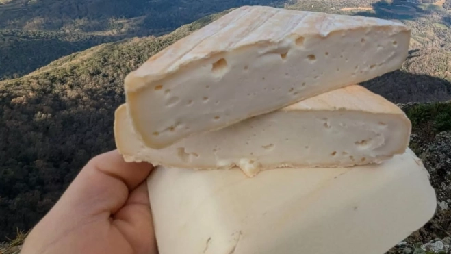 Golany, el queso catalán de pasta blanda Golany, el queso catalán de pasta blanda
