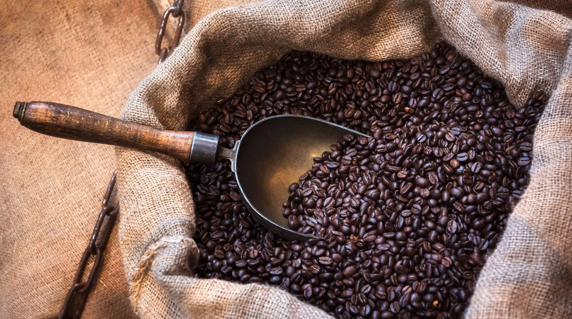 Café arábica en una imagen de archivo / Canva