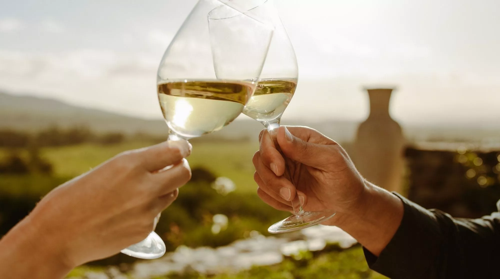 Copas de vino blanco en una imagen de archivo / Canva
