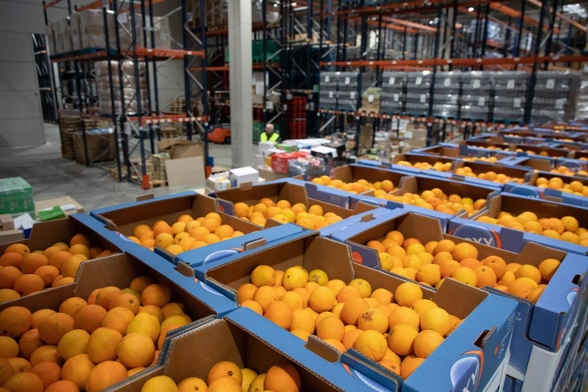 Cajas de naranjas en una imagen de archivo / Rafael Bastante - Europa Press