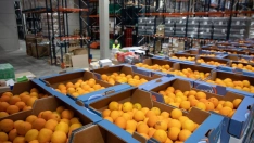 Beneficios del zumo de naranja en la menopausia: ayuda al bienestar mental y la salud metabólica